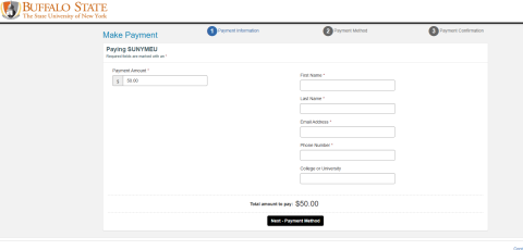 screenshot of payment window